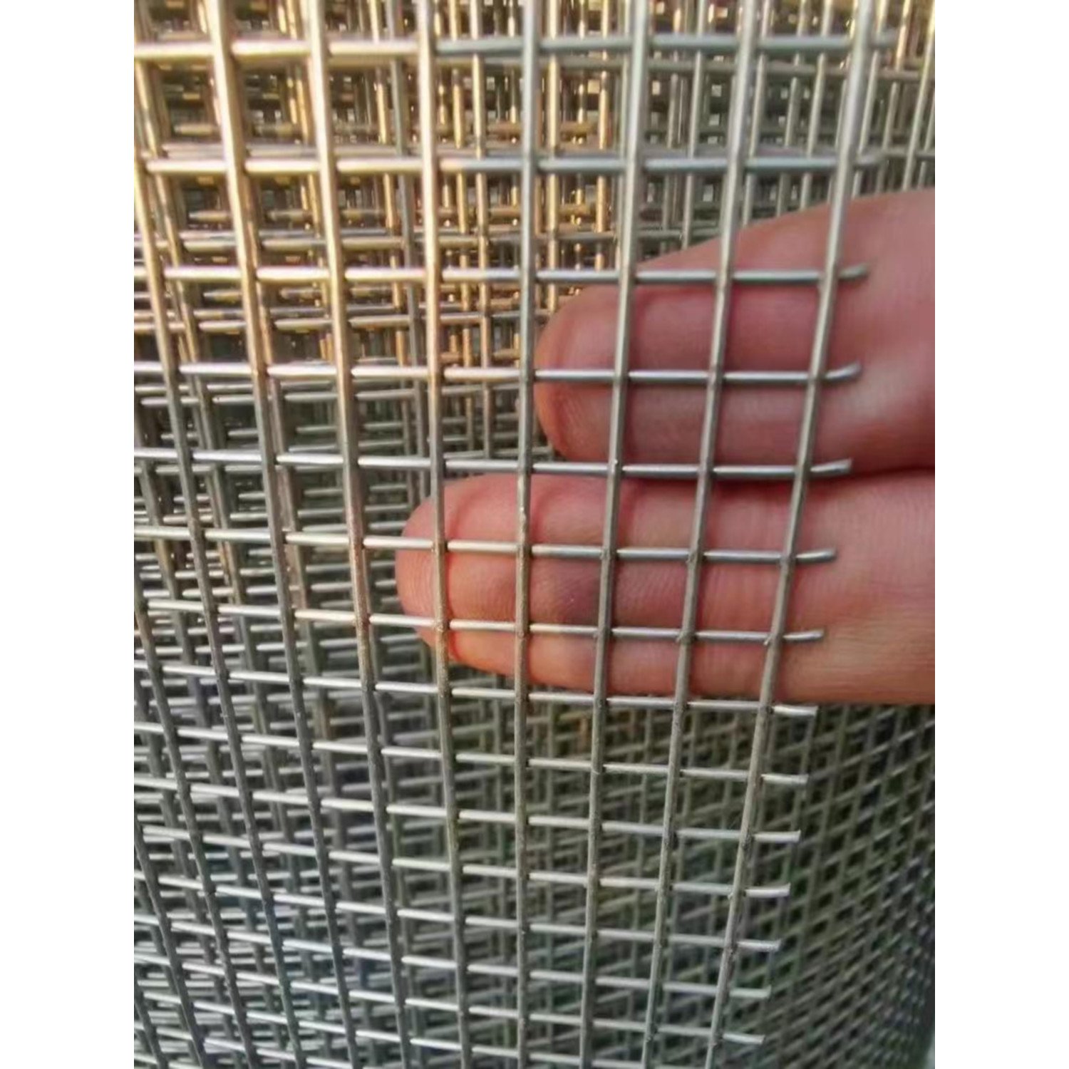 SS 304 316 Stainless Steel Welded Wire Mesh