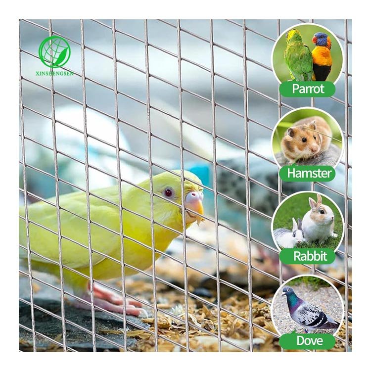 1x1 4ft 30m per roll galvanized after welded steel wire mesh fence bird cage welded wre mesh for feonce