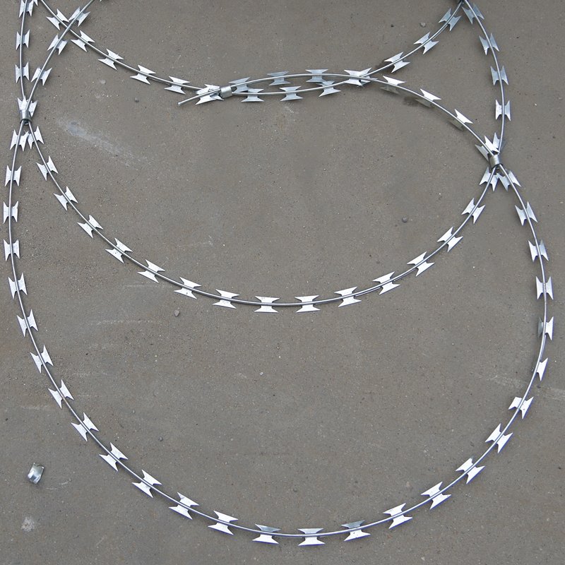Real Factory Stainless Steel SS 304 Razor Wire / Galvanized Concertina Wire Razor Barbed Wire