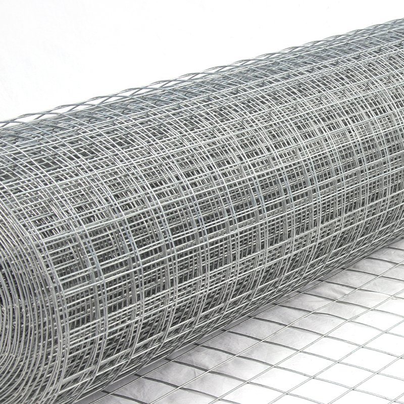 SS304 industrial standard stainless steel Parrot Bird Cage Netting Welded Wire Mesh Roll For Sale