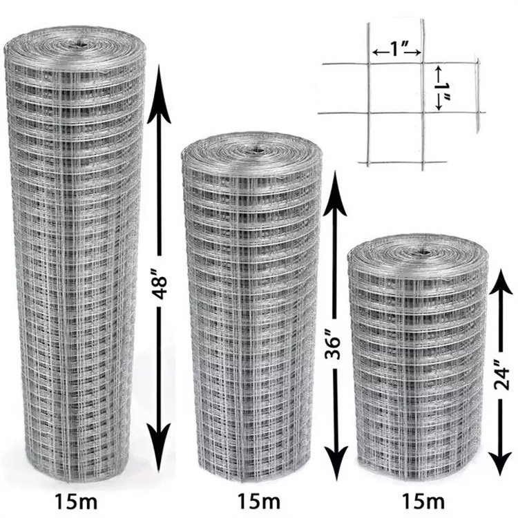 SS304 316 Oxidation Resistance stainless steel welded wire mesh Square Chicken Cage Welded Steel Wire Mesh Roll