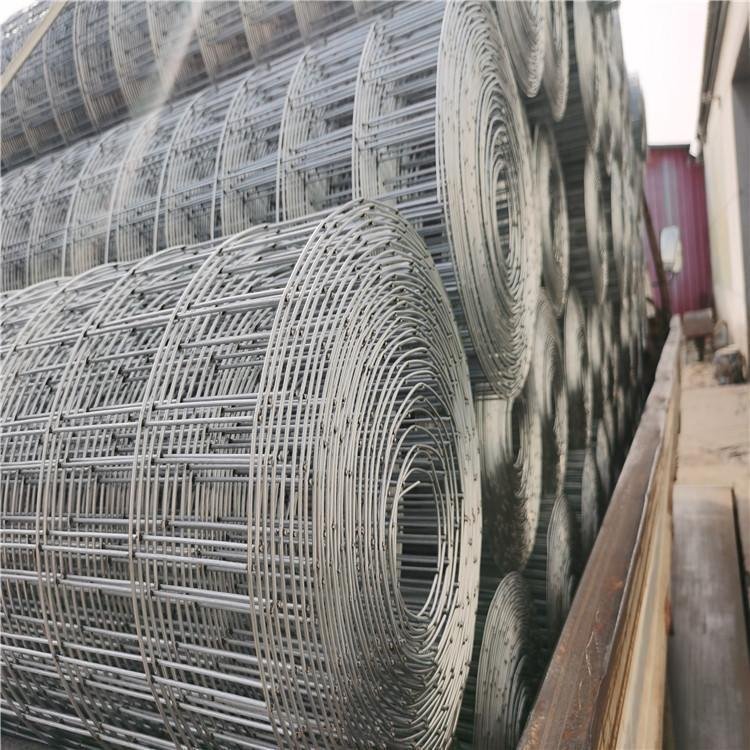 Factory Sales Galvanized Welded Cage Wire Poultry Netting Square Chicken Snake Fencing Welded Mesh Rolls