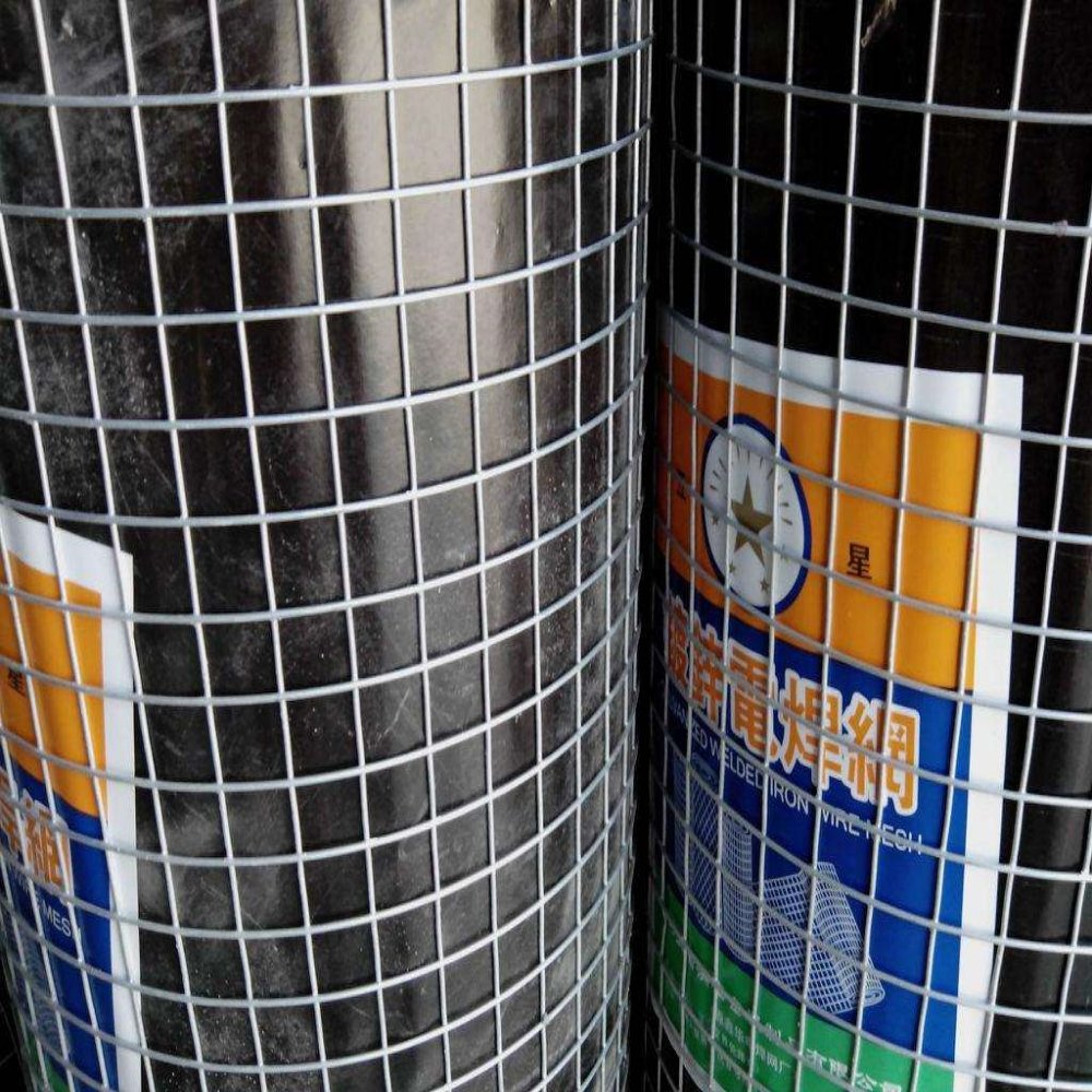 Factory Sales Galvanized Welded Cage Wire Poultry Netting Square Chicken Snake Fencing Welded Mesh Rolls