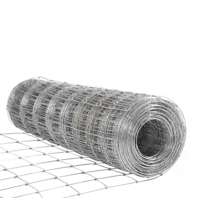 Custom Galvanized Iron Wire Mesh Roll Welded Wire Netting Mesh Fence