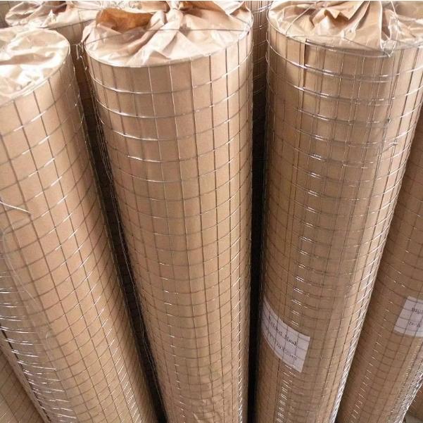Custom Galvanized Iron Wire Mesh Roll Welded Wire Netting Mesh Fence