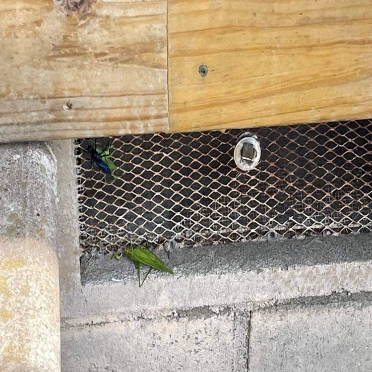 High Quality Stainless Steel Expanded Metal Mesh For Gutter Guards For Leaf Filter Gutters