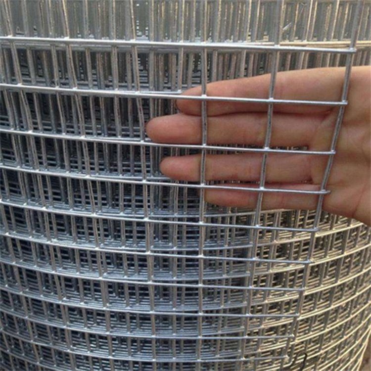 Factory High-quality 1/4 Inch 1/2inch wire mesh Stainless steel Welded wire mesh/wire mesh Welded Netting