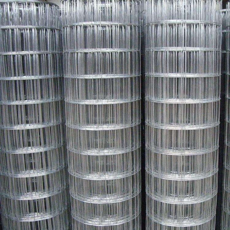 Factory High-quality 1/4 Inch 1/2inch wire mesh Stainless steel Welded wire mesh/wire mesh Welded Netting