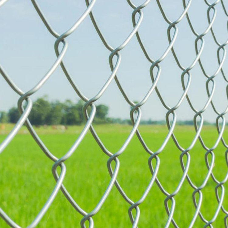 Galvanized Steel PVC Coated Multi Sizes Garden Net Chain Link Mesh Fence