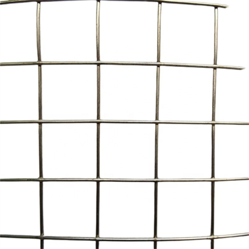 Low Price 6 X 6 Concrete Wire Mesh Electro Galvanized Steel Wire Mesh 10 Gauge Welded Mesh For Construction