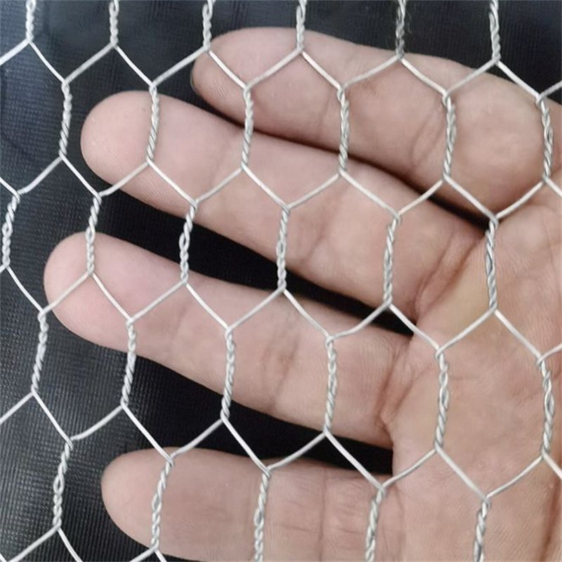 3ft 4ft 5ft 6ft Poultry Farms Fence Net Stainless Steel Galvanized pvc Coated Hexagonal Wire Mesh For Poultry Small animal cage