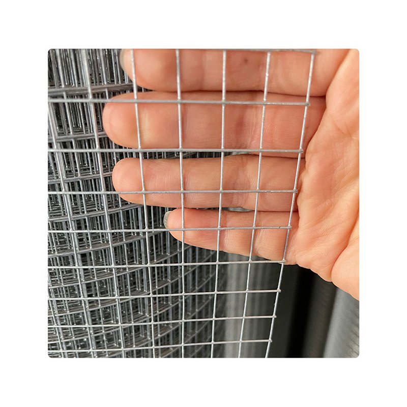 Electrical Welded Wire Mesh Galvanized Stainless Steel Welded Wire Mesh
