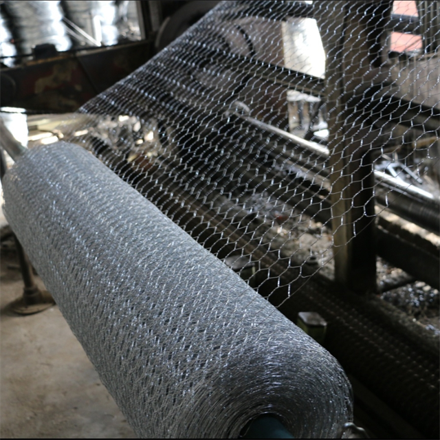 China Factory Low-Priced 3/4 Inch Hexagonal Chicken Wire Netting Hot-Dipped Galvanized Steel Wire Mesh Fence for Poultry
