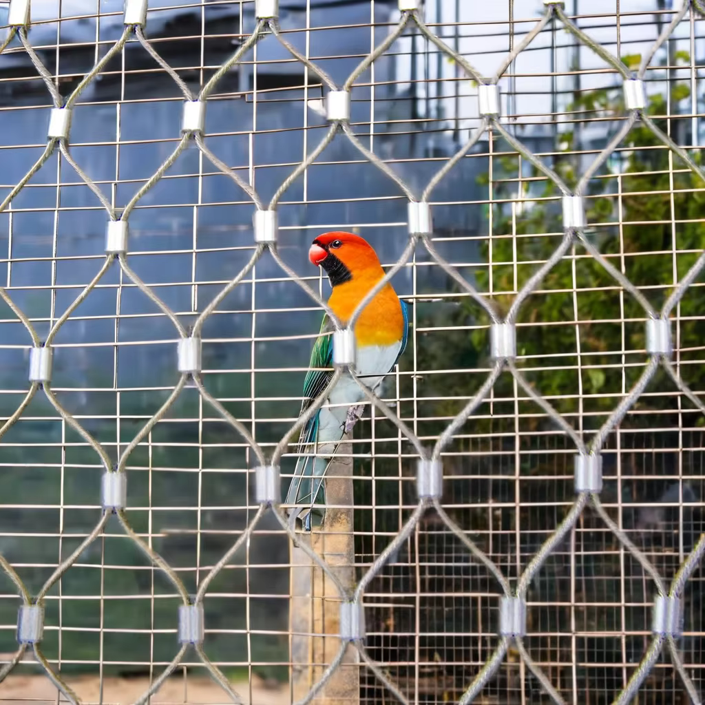 Stainless Steel Cable Bird Netting Diamond Hole Shape Wire Cloth Aviary Zoo Mesh Enclosure Woven Technique Screen Cutting