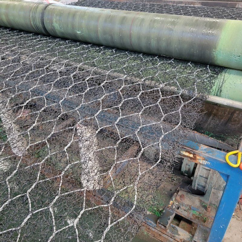 PVC Gabion wire mesh Roll Geomat Slope Protection Net Erosion Control Mat