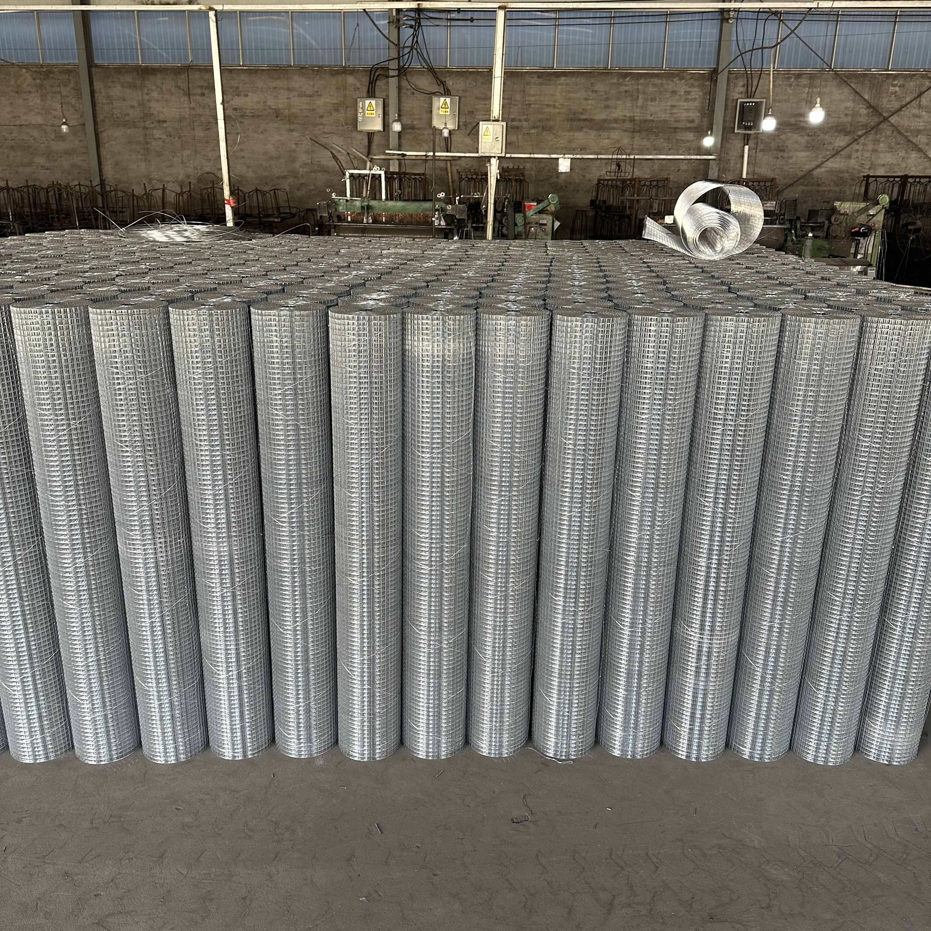 Factory manufacture 8 gauge Galvanized PVC Coated 2 x 2 Welded Wire mesh Roll 25mm X 25mm hole size
