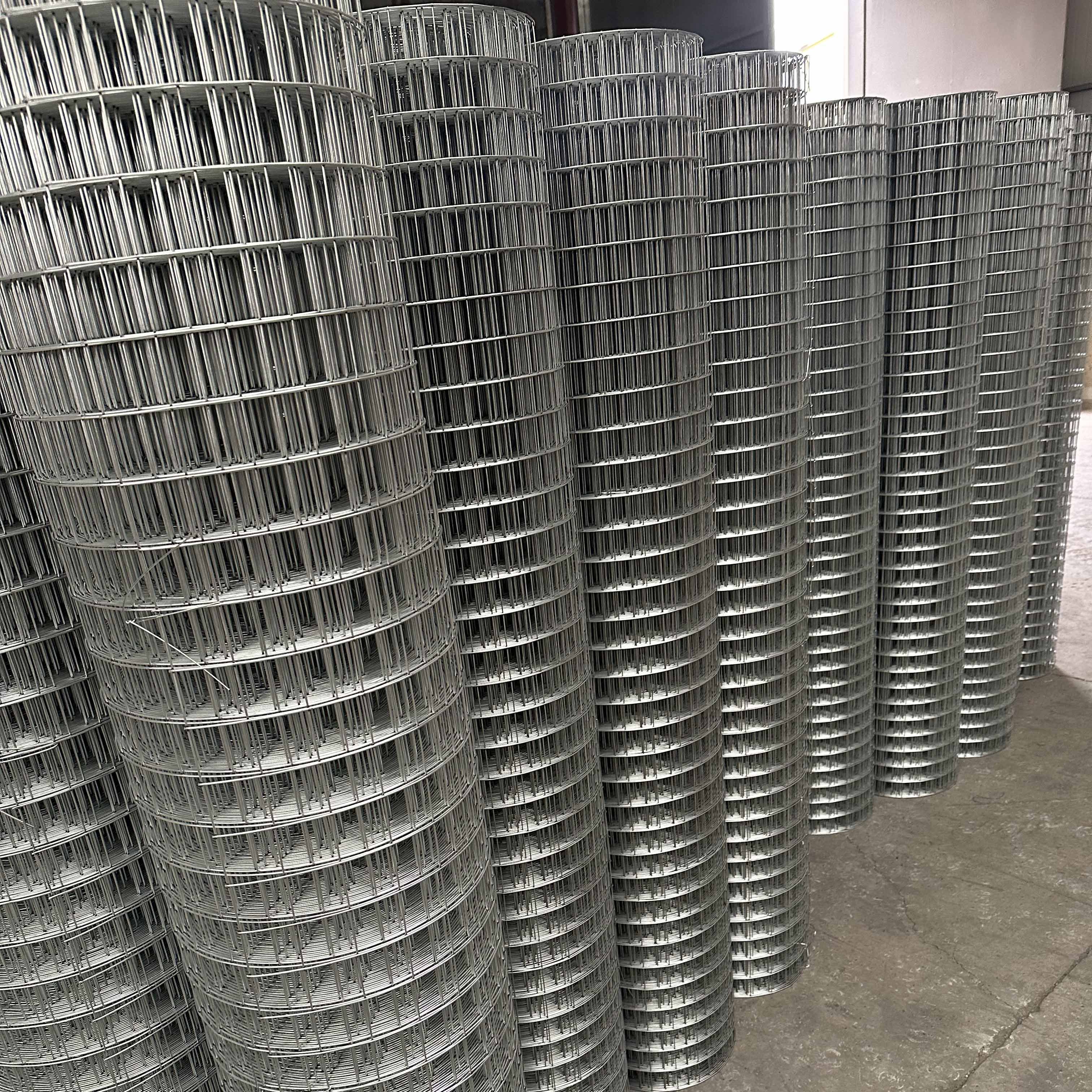 Factory manufacture 8 gauge Galvanized PVC Coated 2 x 2 Welded Wire mesh Roll 25mm X 25mm hole size