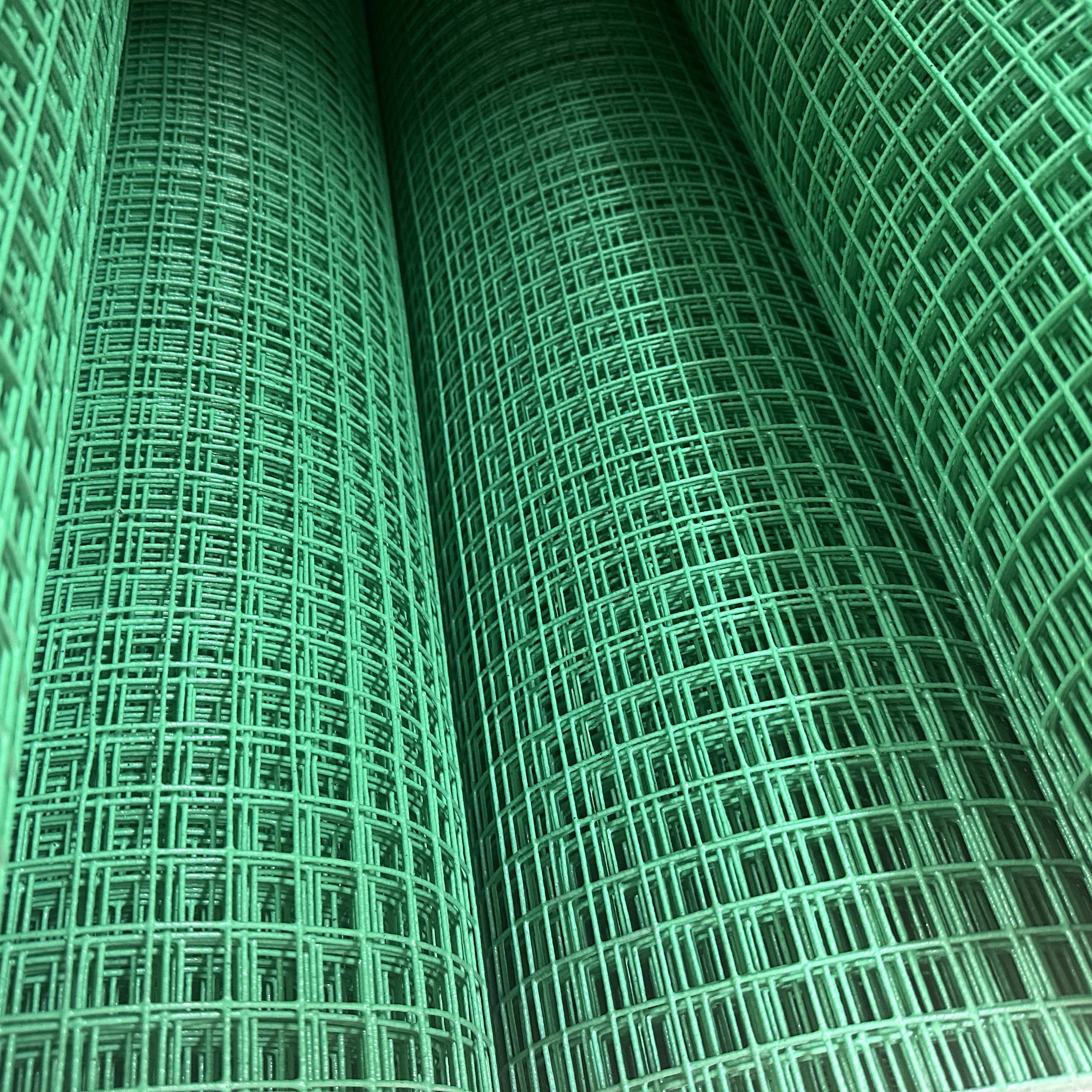 Factory manufacture 8 gauge Galvanized PVC Coated 2 x 2 Welded Wire mesh Roll 25mm X 25mm hole size