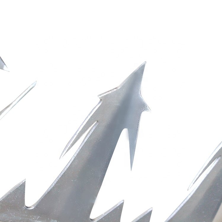 Low price hot dip galvanized wall spikes for sale / PvC COATED BLACK SPIKES FOR WALL