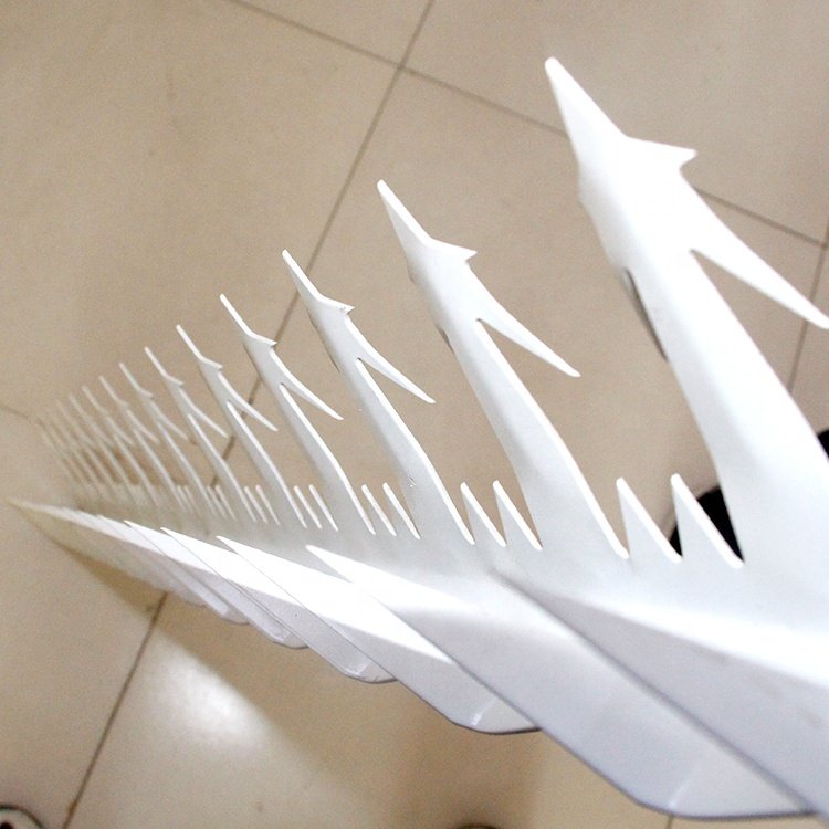 Low price hot dip galvanized wall spikes for sale / PvC COATED BLACK SPIKES FOR WALL