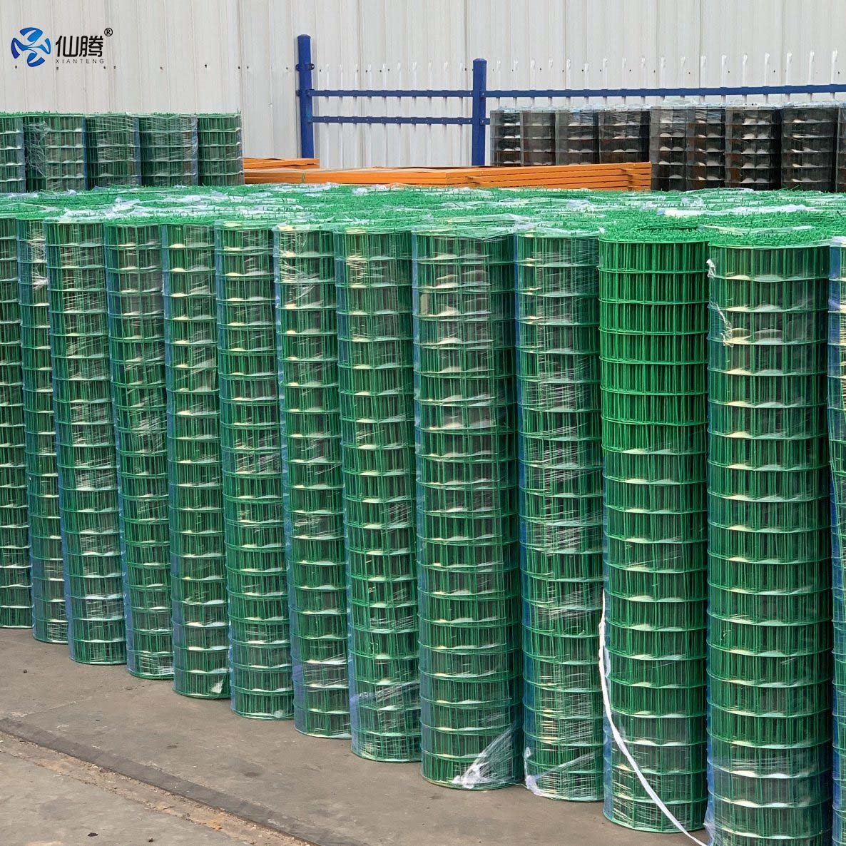 Xianteng PVC Coated Holland Wire Mesh Cheap Welded Ranch Wire Mesh Fence Anping Factory Plastic Coated Iron Wire Roll