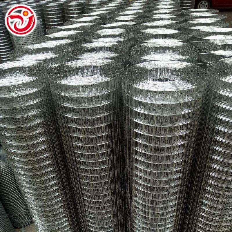 Hot-Saled Hot Dipped Galvanized Steel Tape Reinforced Mesh Stainless Steel Welded Wire Mesh Factory