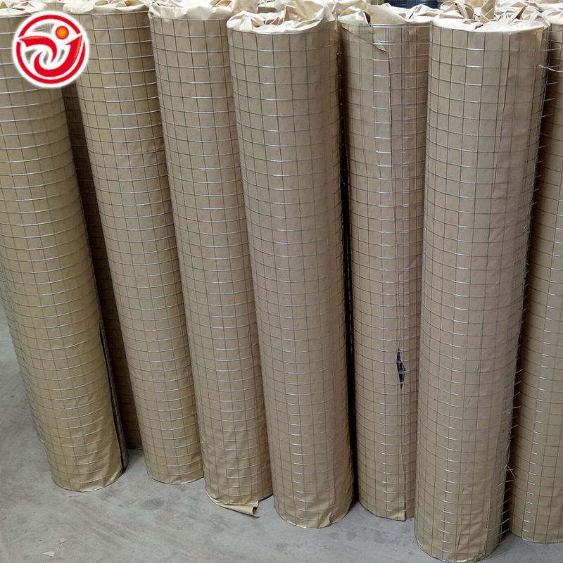 Hot-Saled Hot Dipped Galvanized Steel Tape Reinforced Mesh Stainless Steel Welded Wire Mesh Factory