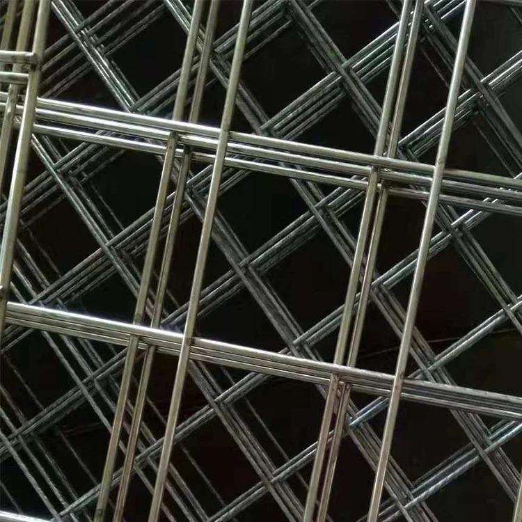 Hot-Saled Hot Dipped Galvanized Steel Tape Reinforced Mesh Stainless Steel Welded Wire Mesh Factory
