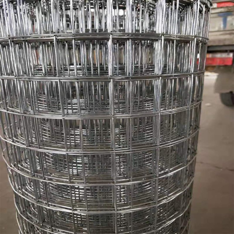 Low Price Welded Galvanized Wire Mesh For Construction