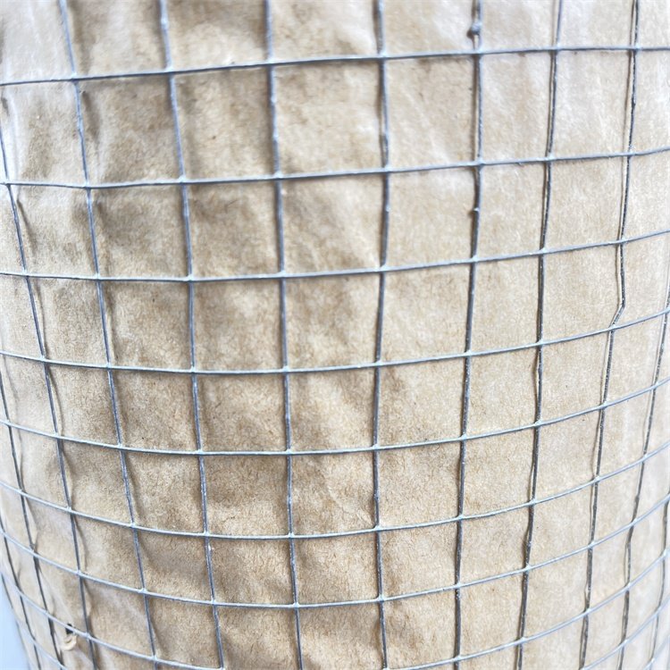 Hot Dipped Galvanized Fencing Iron Netting 10 gauge Welded Wire Mesh for rabbit bird Animal Pet Cages