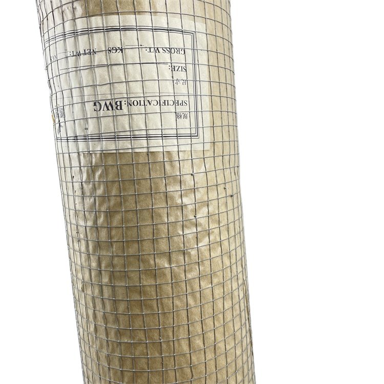 Hot Dipped Galvanized Fencing Iron Netting 10 gauge Welded Wire Mesh for rabbit bird Animal Pet Cages