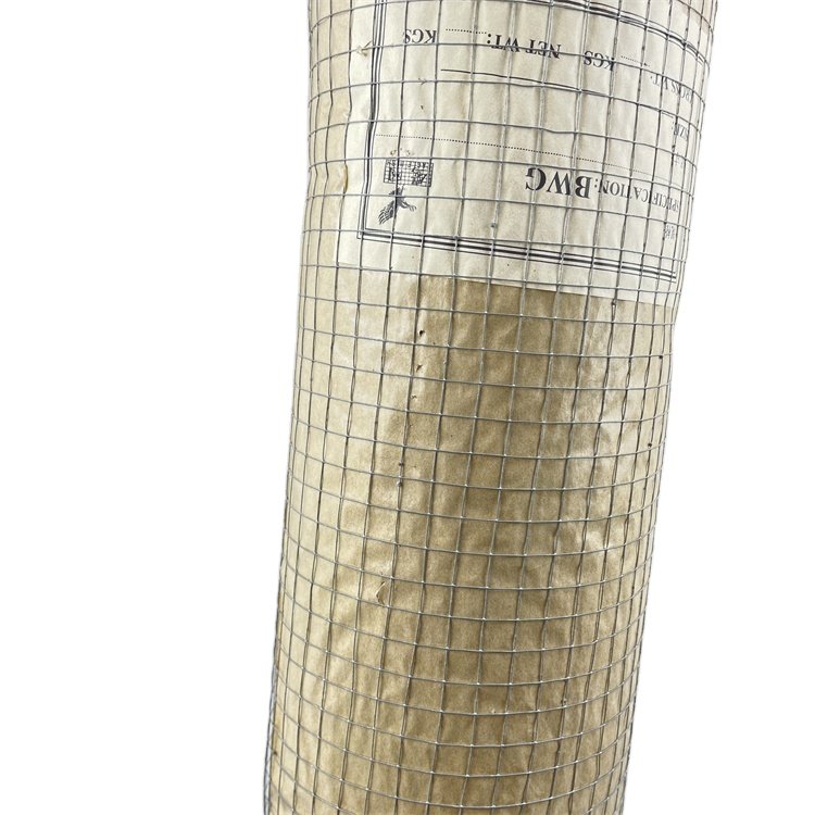 Hot Dipped Galvanized Fencing Iron Netting 10 gauge Welded Wire Mesh for rabbit bird Animal Pet Cages