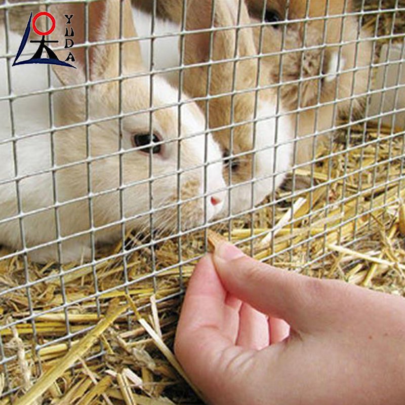 Hot dipped galvanized welded wire mesh for construction and fencing