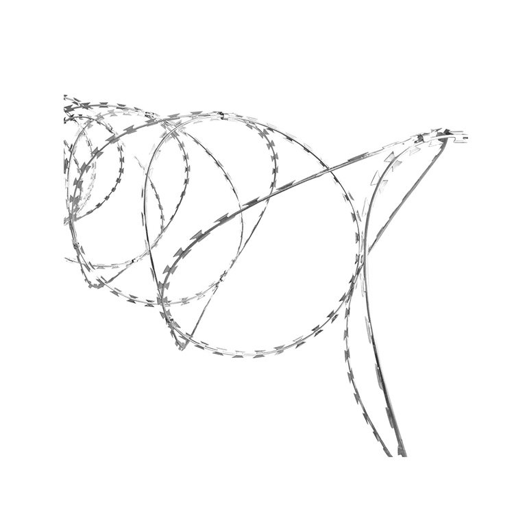 Galvanized Flat Wrap Rollo De Alambre De Afeitar Concertina Razor Wire Bto-22 In Tanzania