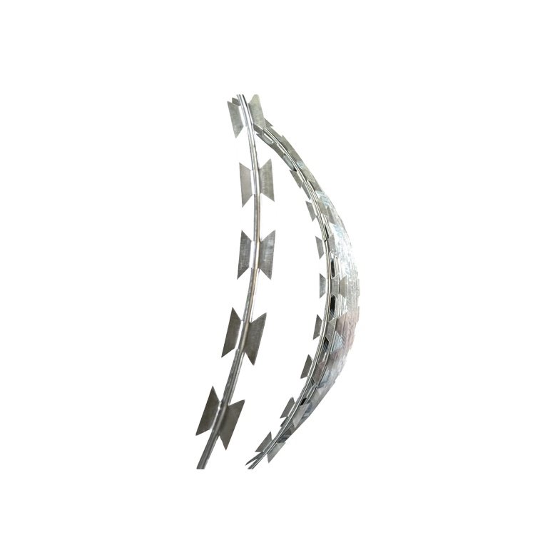 Galvanized Flat Wrap Rollo De Alambre De Afeitar Concertina Razor Wire Bto-22 In Tanzania