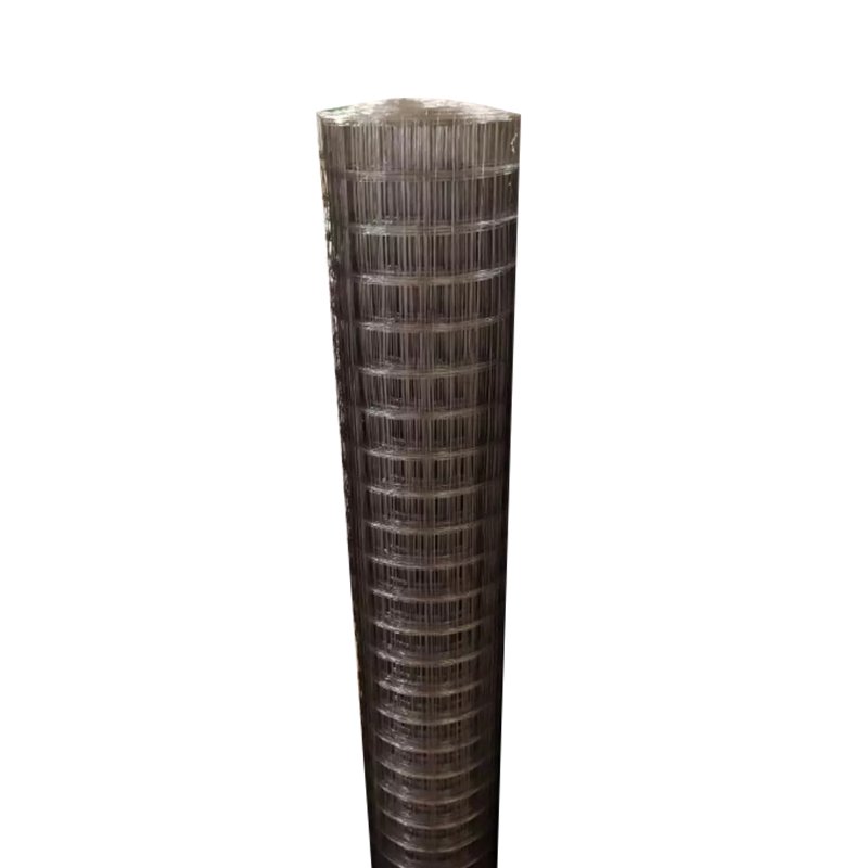 Top Quality Galvanized Stainless Steel Wire Mesh in Roll perforated metal mesh screen