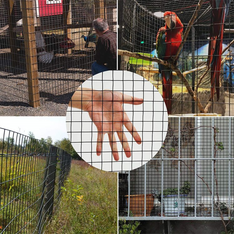 Environmental protection High Quality 30x30mm pvc coated welded wire mesh