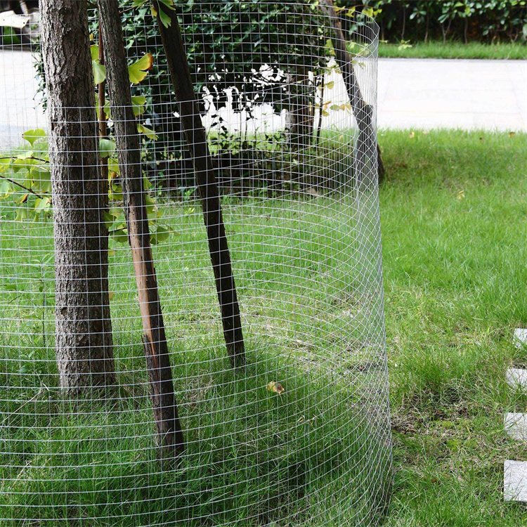 Environmental protection High Quality 30x30mm pvc coated welded wire mesh
