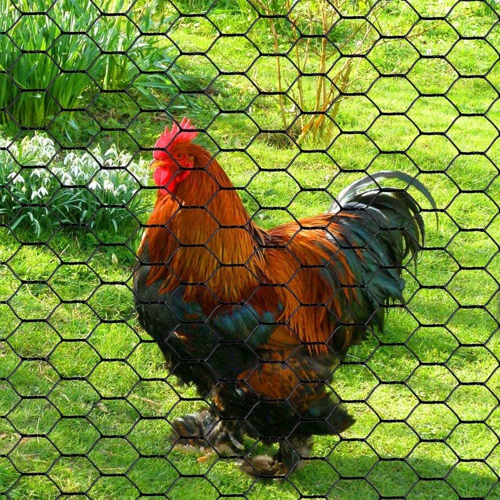Wholesale High Quality PVC Coated Chicken Wire Mesh Galvanized Steel Fence Mesh 1.5mm 2mm Diameter Iron Wire 8mm 20mm Aperture