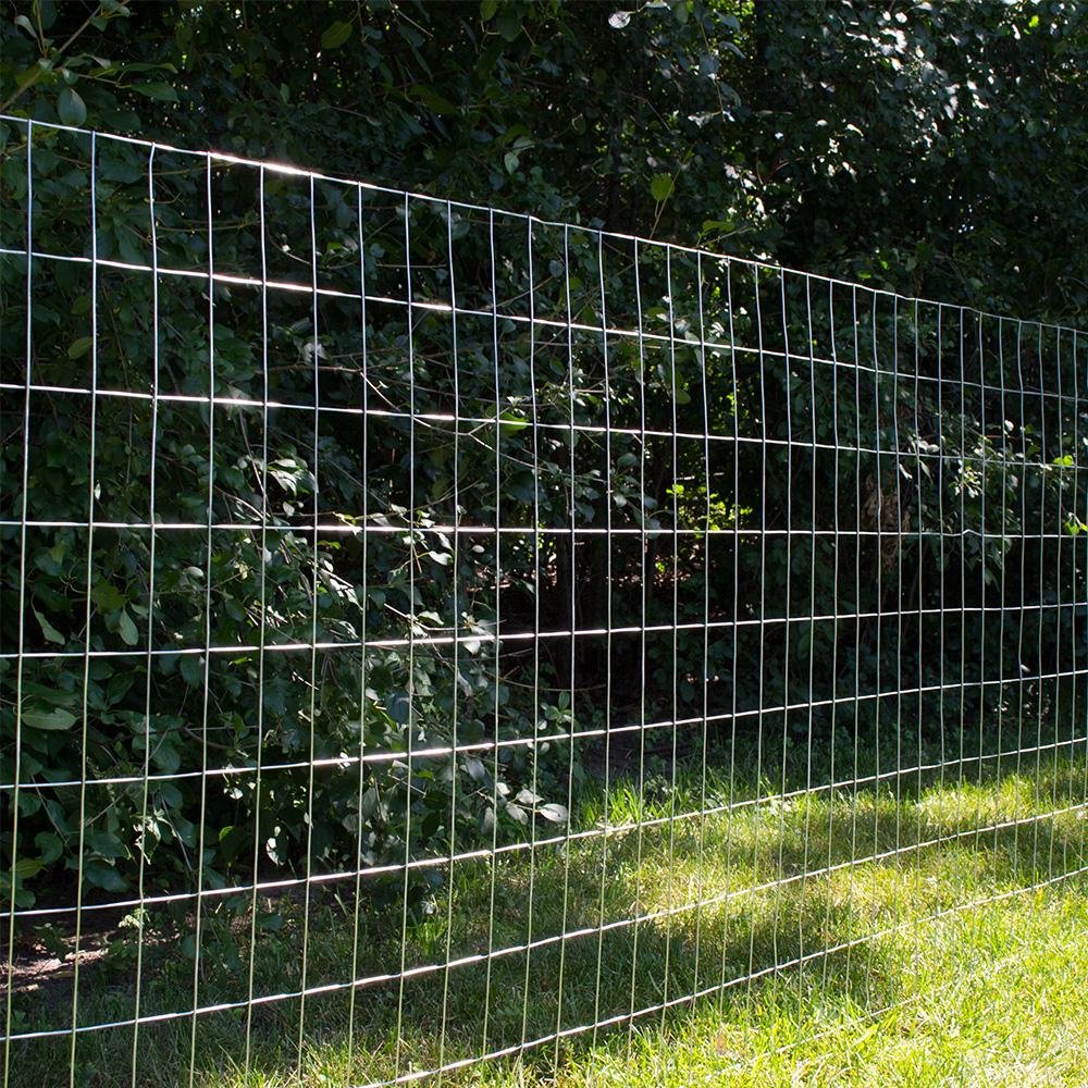 Good Price High Quality Galvanized stainless steel Iron Net PVC Coated Welded Wire Mesh