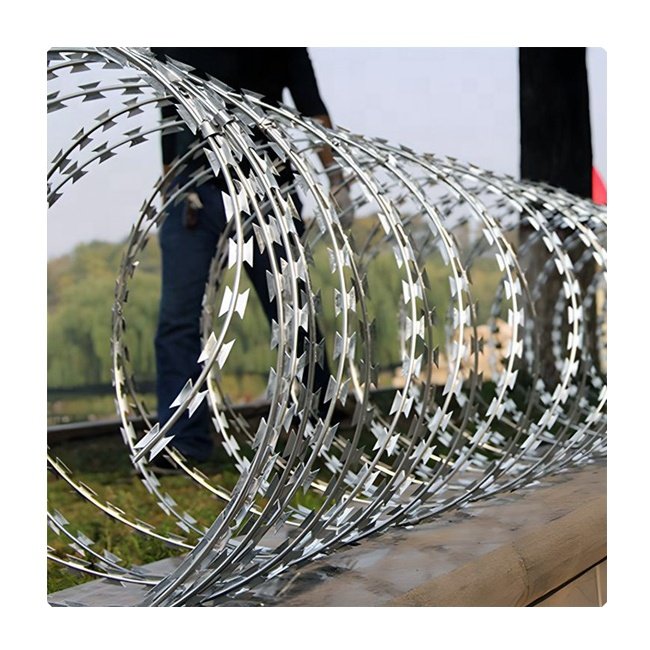 Low Price Concertina Hot Dipped Galvanized Razor Barbed Wire