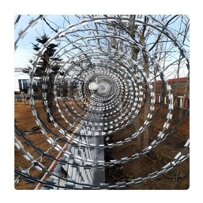 Low Price Concertina Hot Dipped Galvanized Razor Barbed Wire