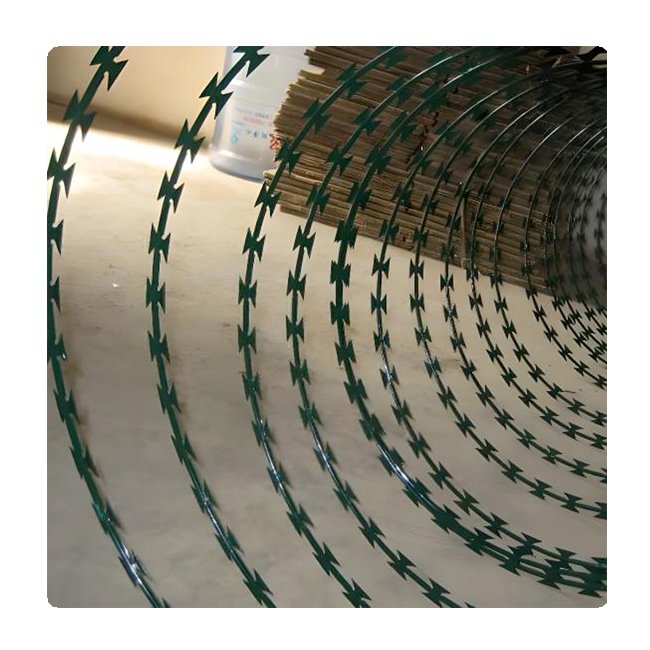 Low Price Concertina Hot Dipped Galvanized Razor Barbed Wire