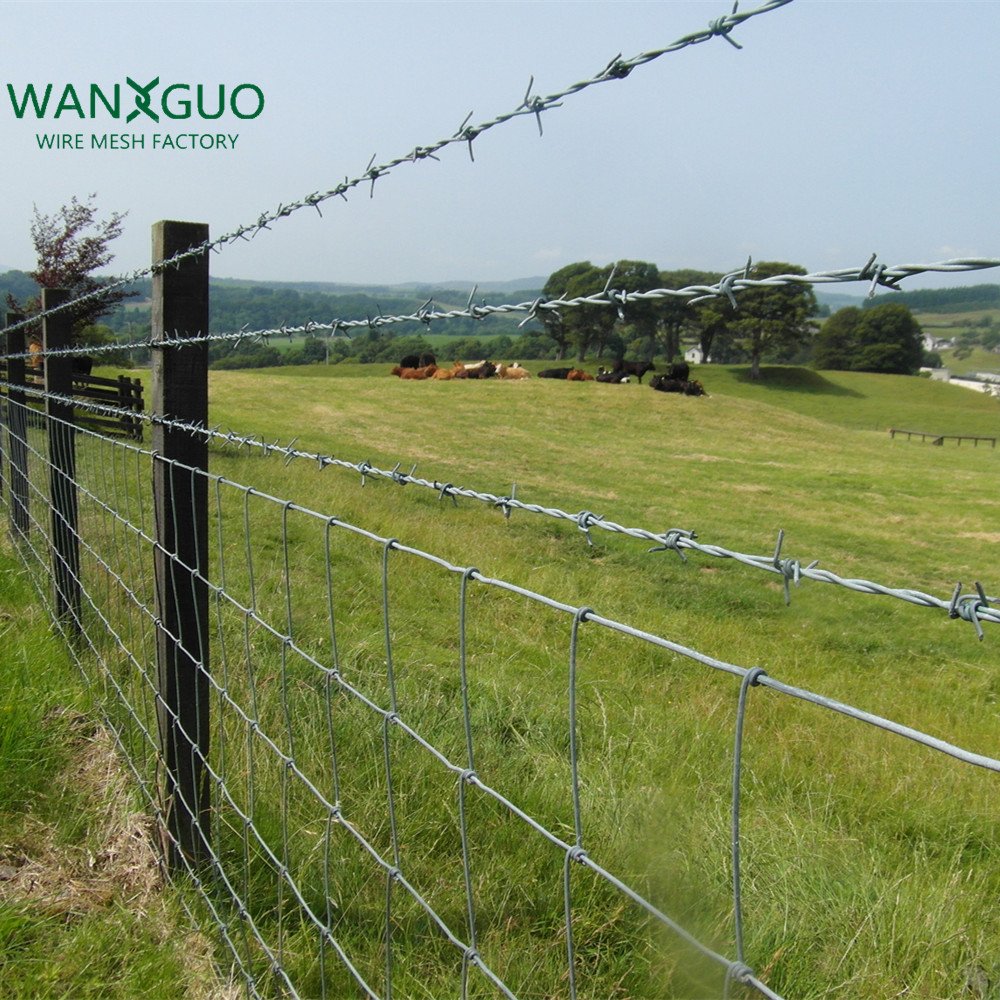 High Quality Supplies 500m 12.5 Gauge Barb Wire Wire Mesh Fence Roll Galvanized Barbed Wire