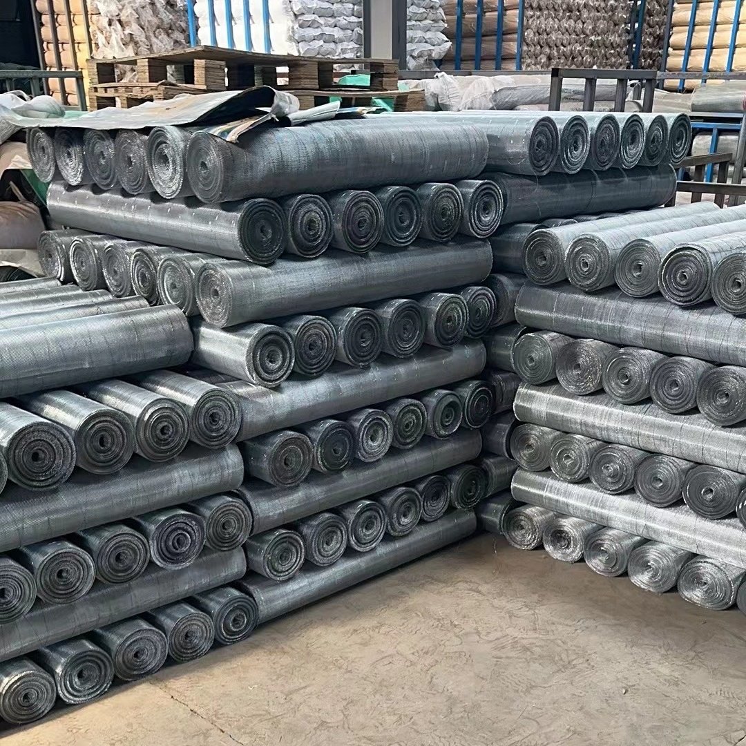 Galvanized wire mesh screen blue netting GI weaved mesh