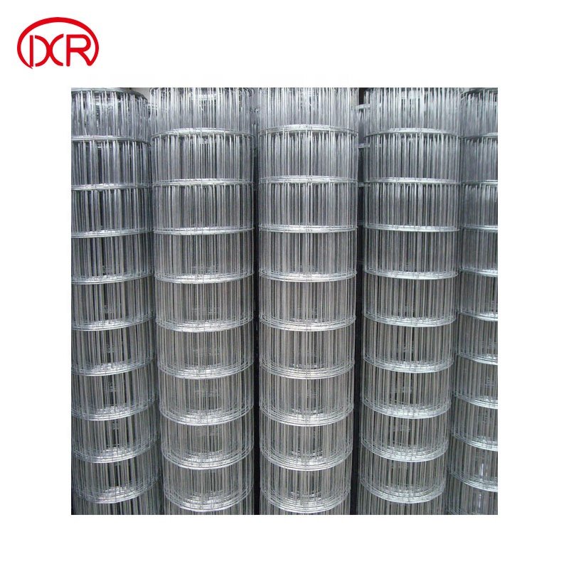 Fencing Net 1/4 Inch Galvanized Welded Iron Wire Mesh
