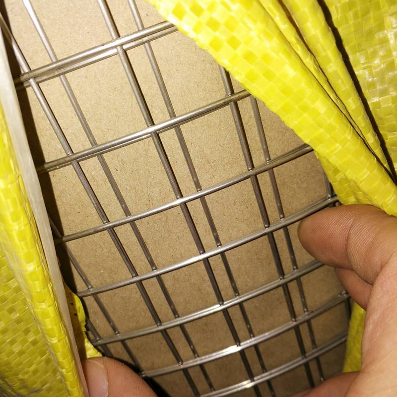 Galvanized Welded Wire Mesh for Construction