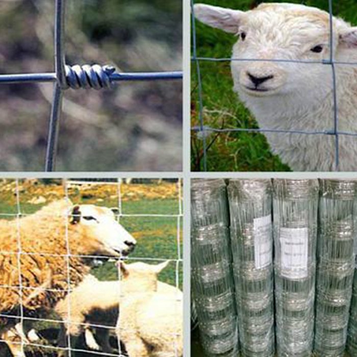 2.5mm main wire 3.0mm border wire high tensile steel wire netting livestock fence