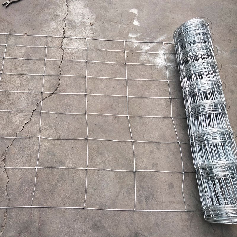 2.5mm main wire 3.0mm border wire high tensile steel wire netting livestock fence