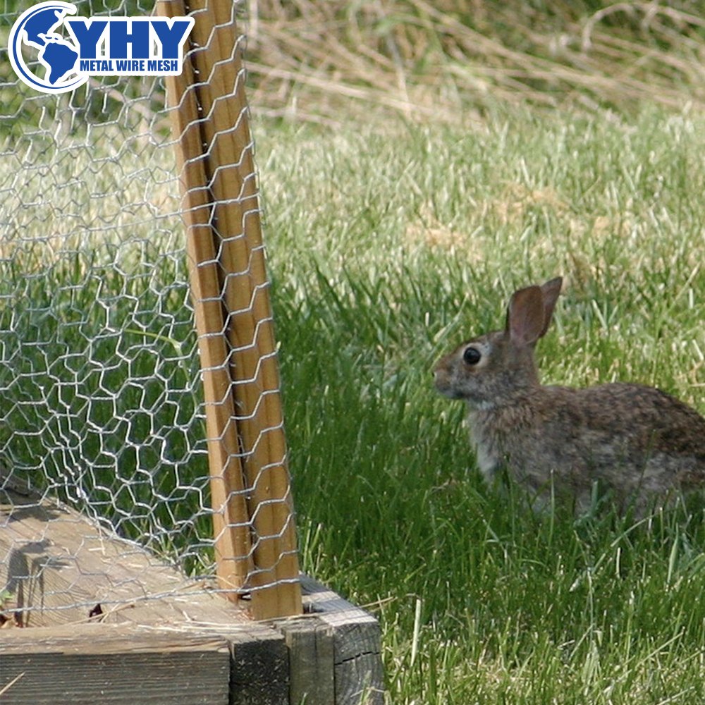 Exported to New Zealand market 1.22m wide and 50m long hot-dip galvanized hexagonal wire mesh